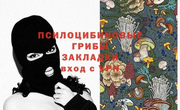 2c-b Абаза