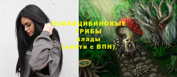 прущие крисы Абинск