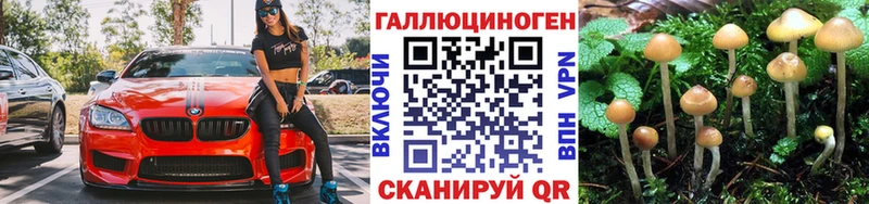 блэк спрут зеркало Ялта Псилоцибиновые грибы GOLDEN TEACHER закладки